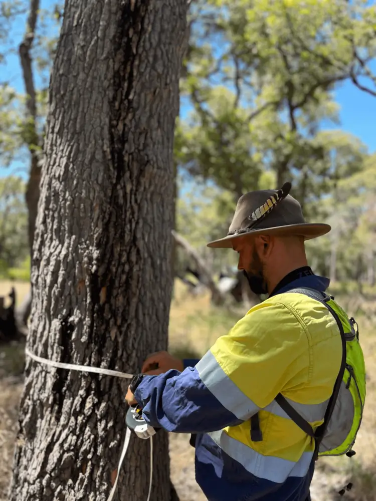 environmental approvals WA
