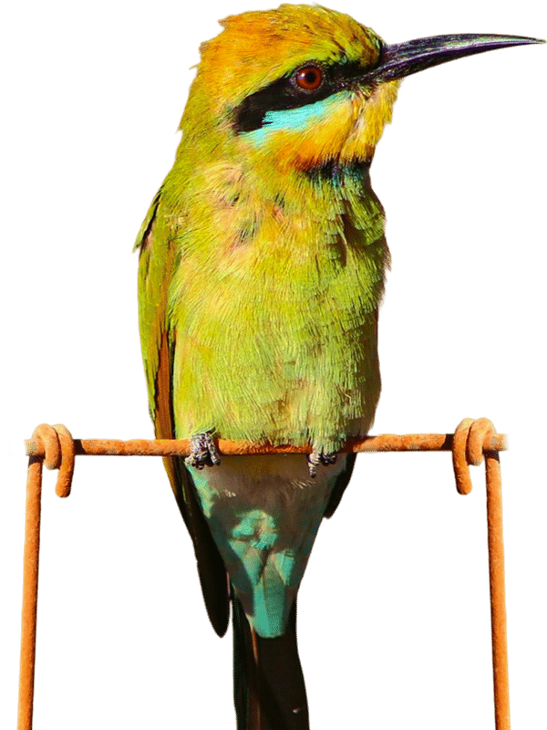 environmental consultant south