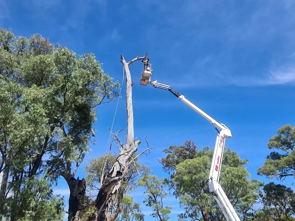 environmental management wa