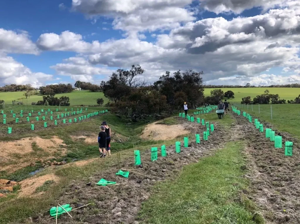 wa revegetation plans